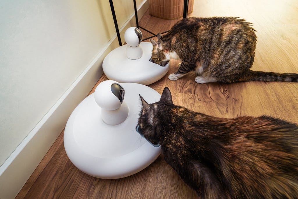Two domestic cats eating from modern smart pet feeders in an indoor setting.